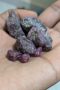 Raw Ugandan Ruby – 110 Carats